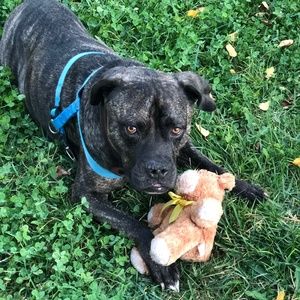 Meet your Posher, Elle